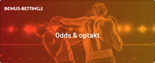 Jake Paul - Mike Tyson odds og optakt